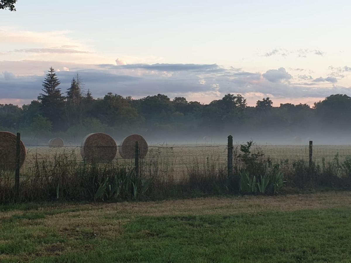 Gite Du Grand Chene Hébergement de vacances *